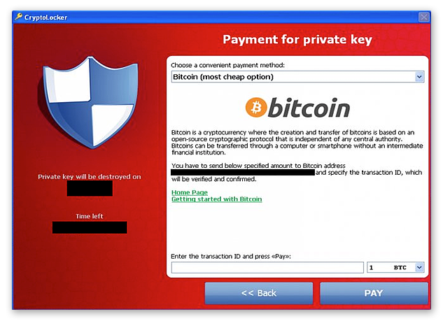 Das Fenster mit der Zahlungsaufforderung von CryptoLocker