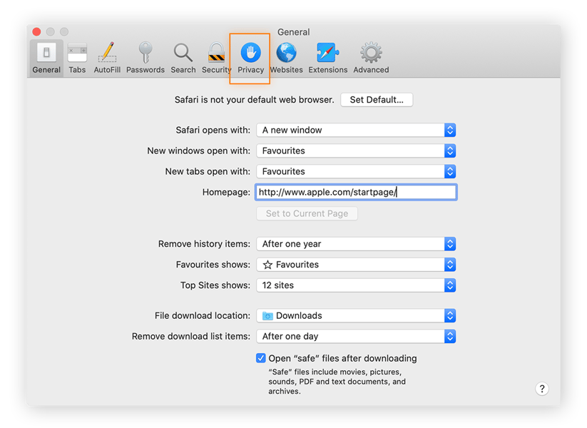 Clique na guia “Privacidade” no menu superior para continuar com as configurações de privacidade do Safari